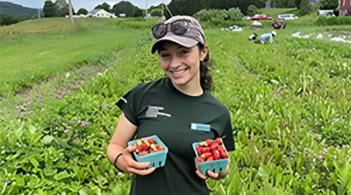 A person holding a cup of strawberries