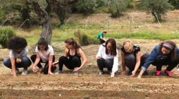 Planting seeds at Umbra Institute