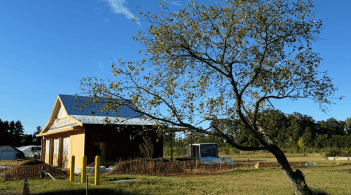Teaching pavilion with a tree on a farm