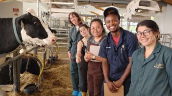 Dr. Julie Smith is in the UVM dairy barn standing next to a black and white cow, along with a UVM graduate student, two visiting veterinary interns, and the CREAM herd manager.