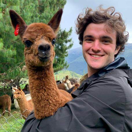 Student cares for an alpaca cria