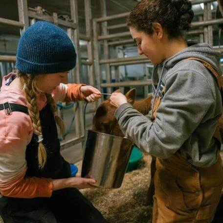 Two students in UVM's CREAM program in the cow barn