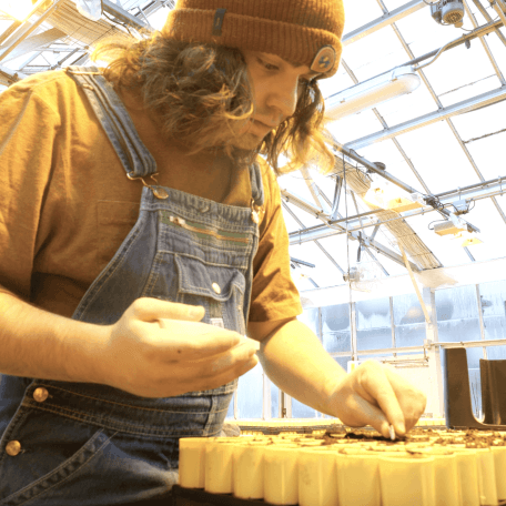 Students planting seeds in the greenhouse as part of a class