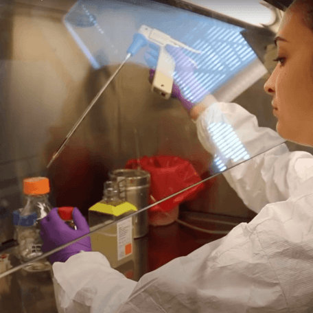 undergraduate doing cells research in a DNA lab