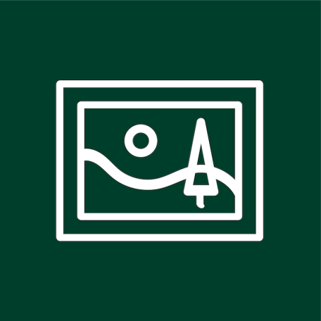 A white vector image of a painting over a dark green background.