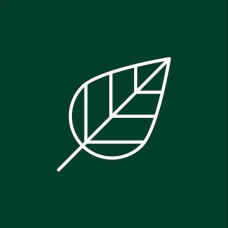A white vector image of a leaf over a dark green background.