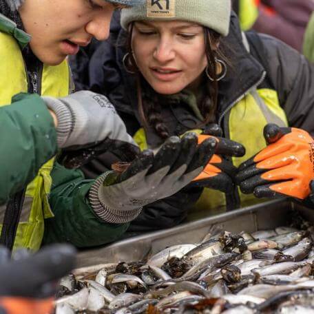 Two people looking closely at a small fish during a trawling trip