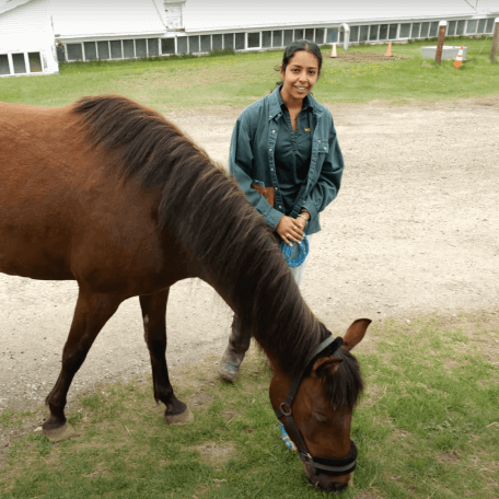 Smiling girl leading a horse