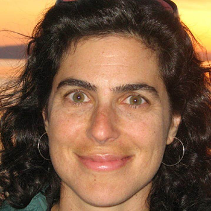 Lisa Chase