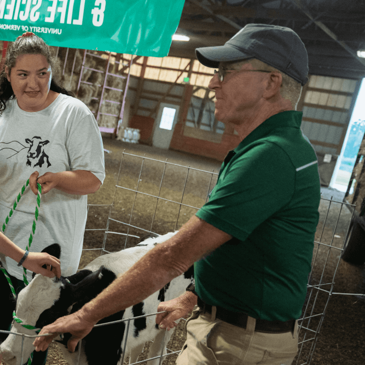 Man standing in front of a calf with a student