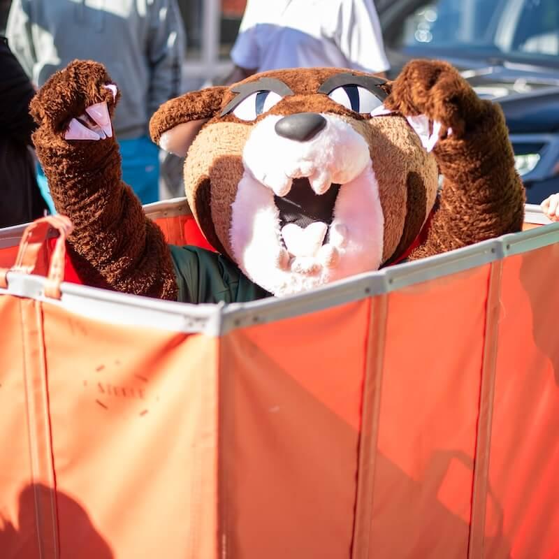 UVM catamount mascot Rally Cat in a move-in cart.