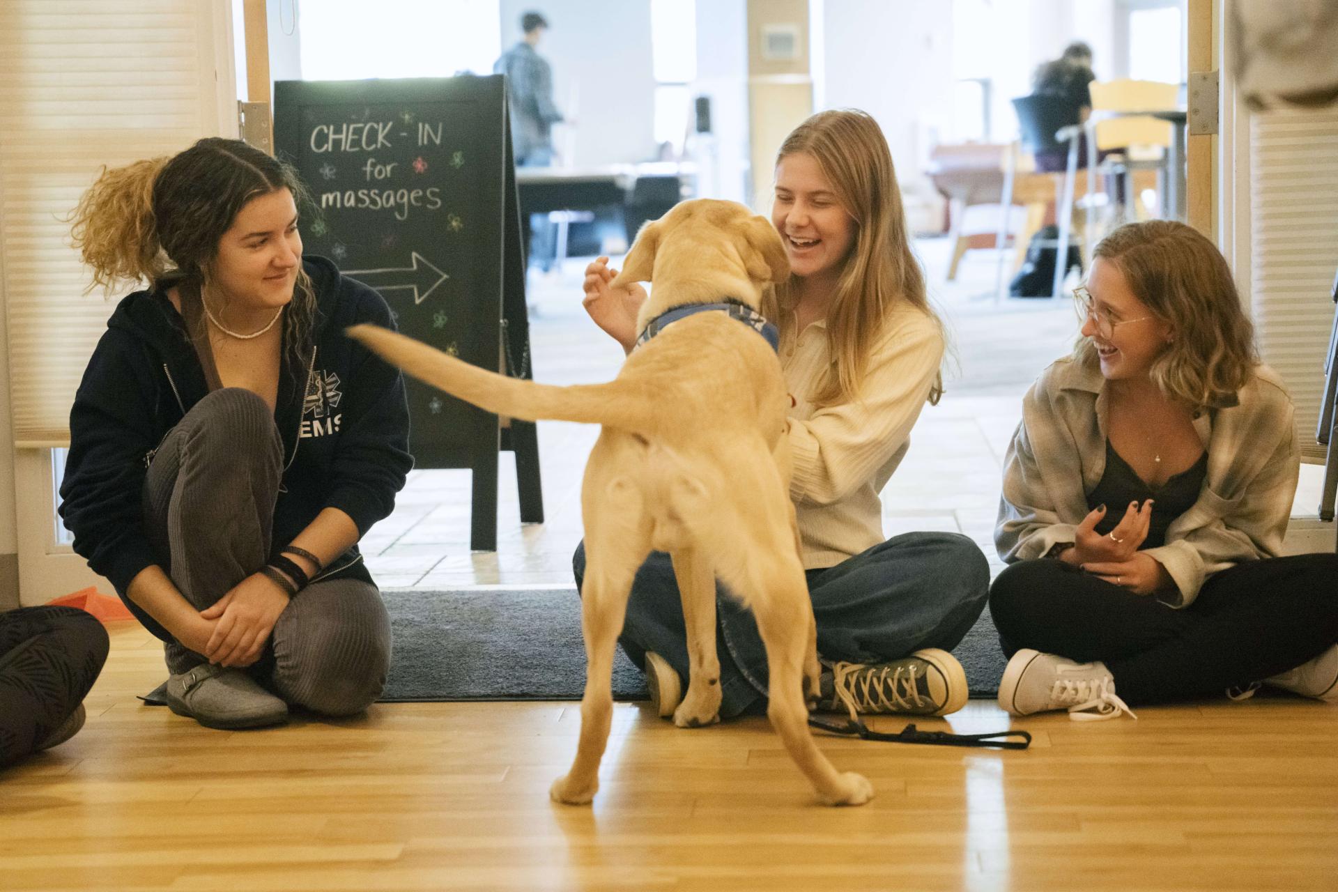 three happy students greet a yellow lab with a wagging tail. 