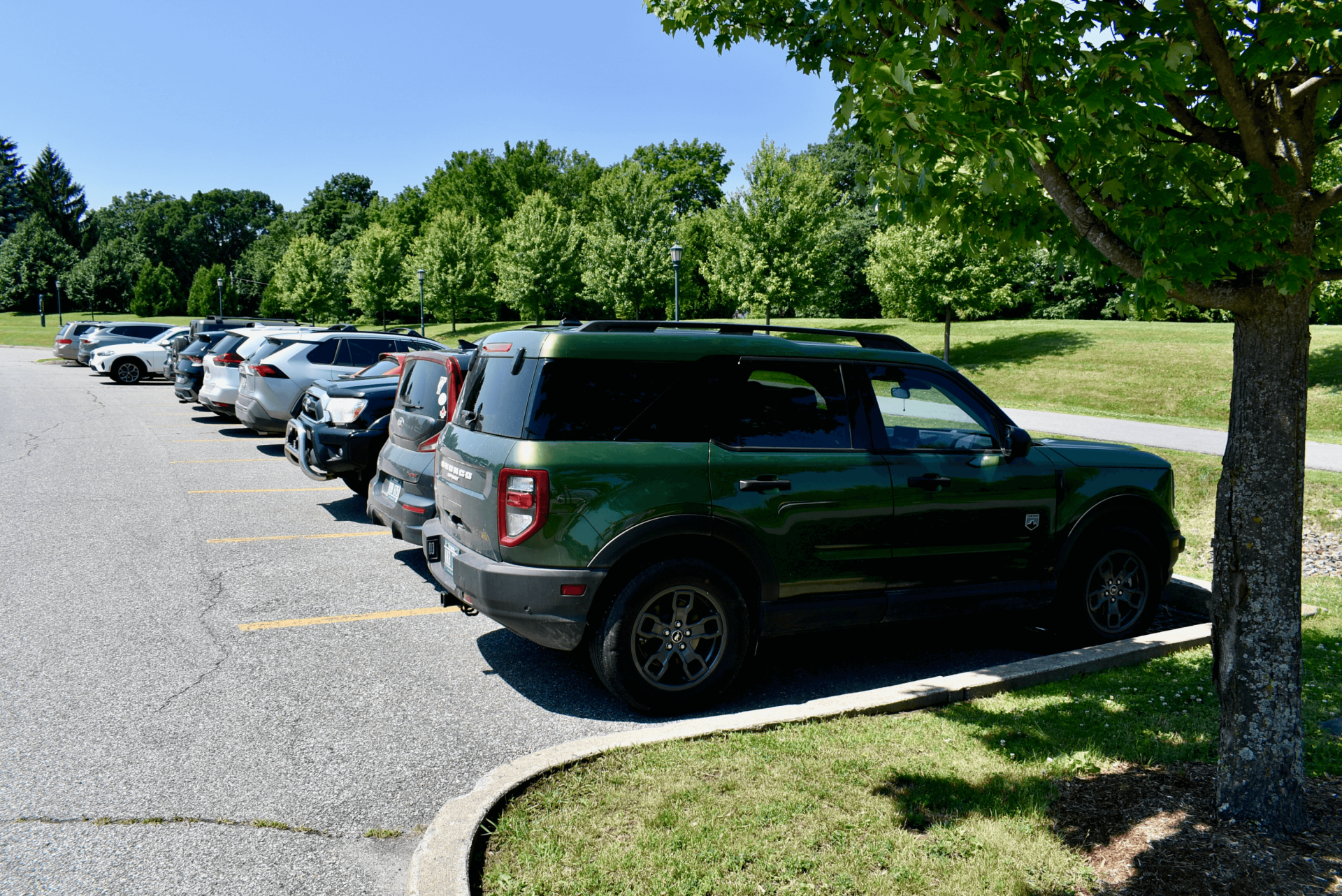 A row of cars parked in an employee lot on the UVM campus