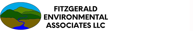Fitzgerald Associates logo