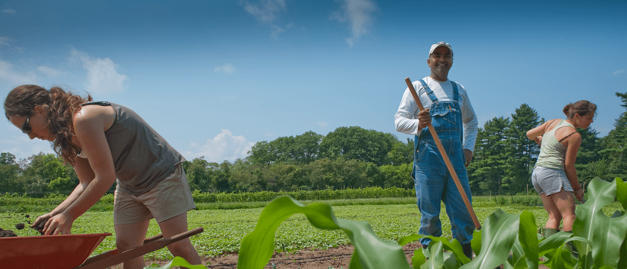 Students working in a field doing sustainable horticulture