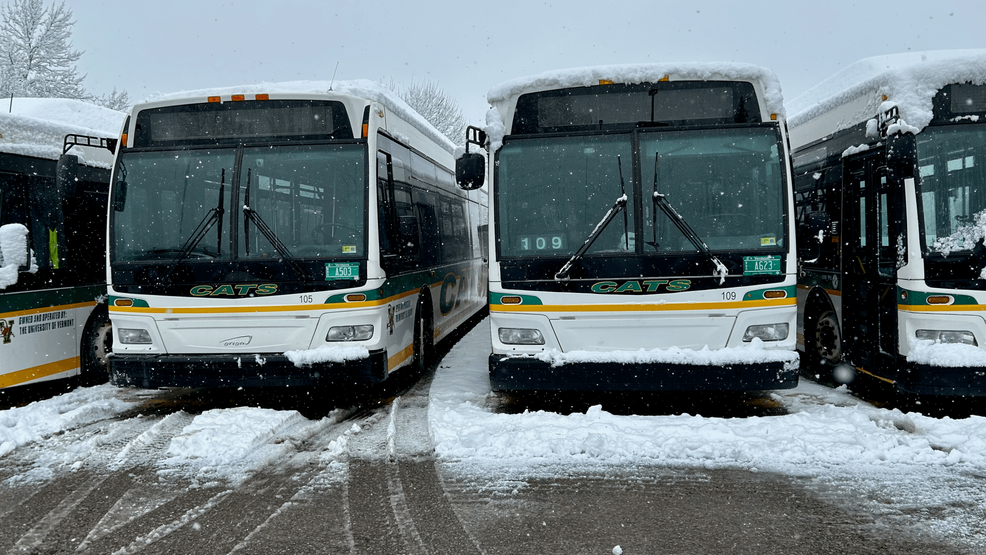 A row of CATS buses in the winter