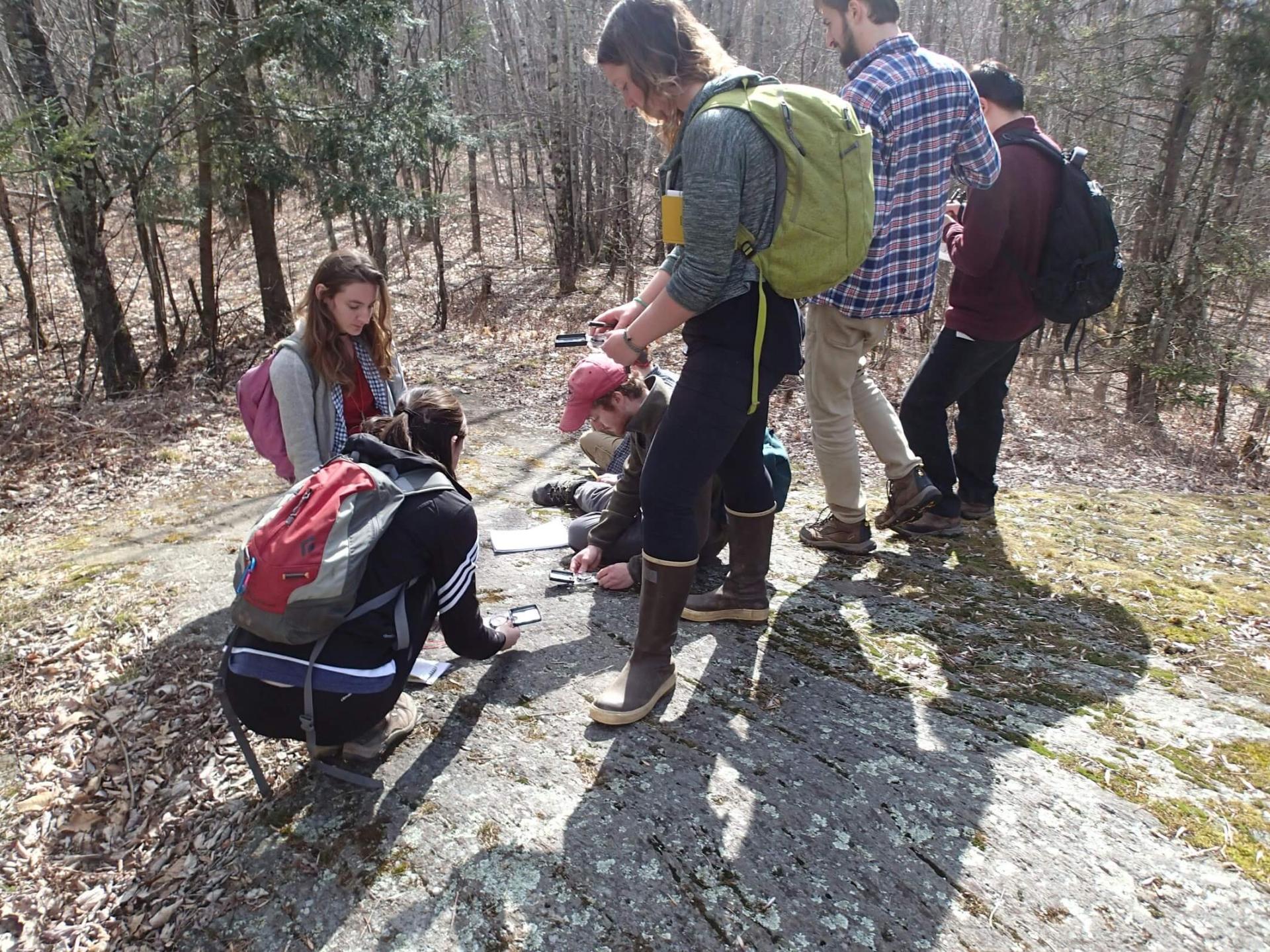 Students doing a research outdoor
