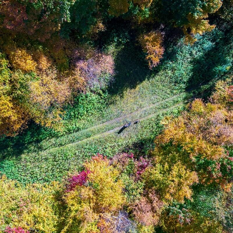 An aerial view of two people standing among fall foliage covered trees