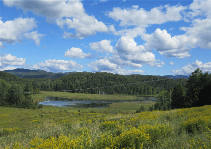 Scenic view of the Carse Wetlands natural area