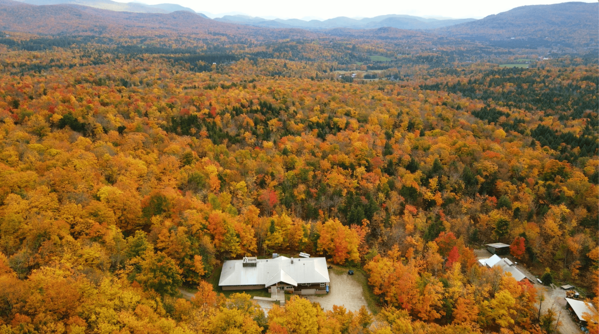 Proctor Maple Research Center in Fall foliage