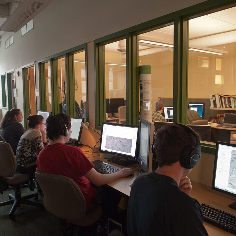 A group of staff working at computers in the Spatial Analysis Lab