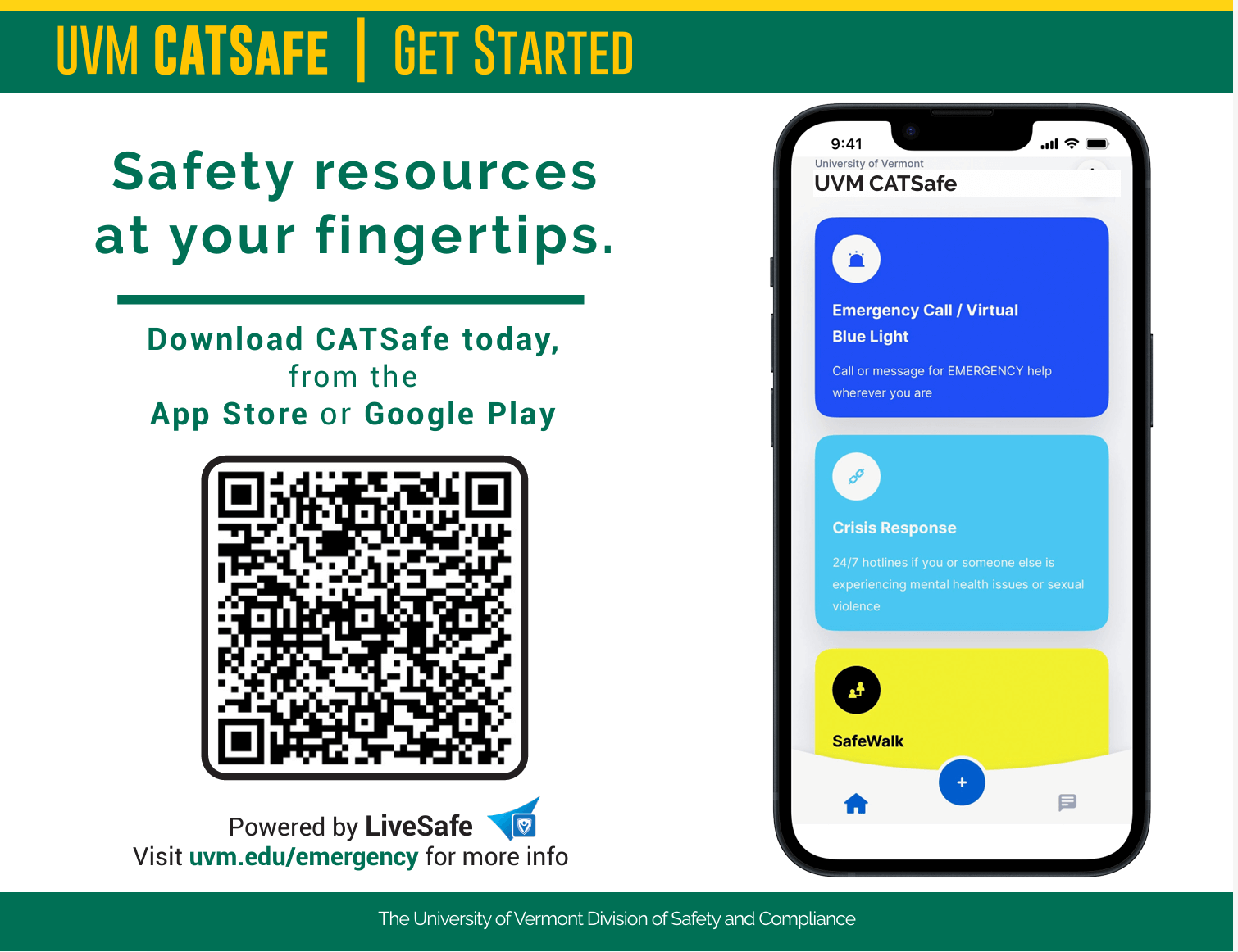 Catsafe download flyer