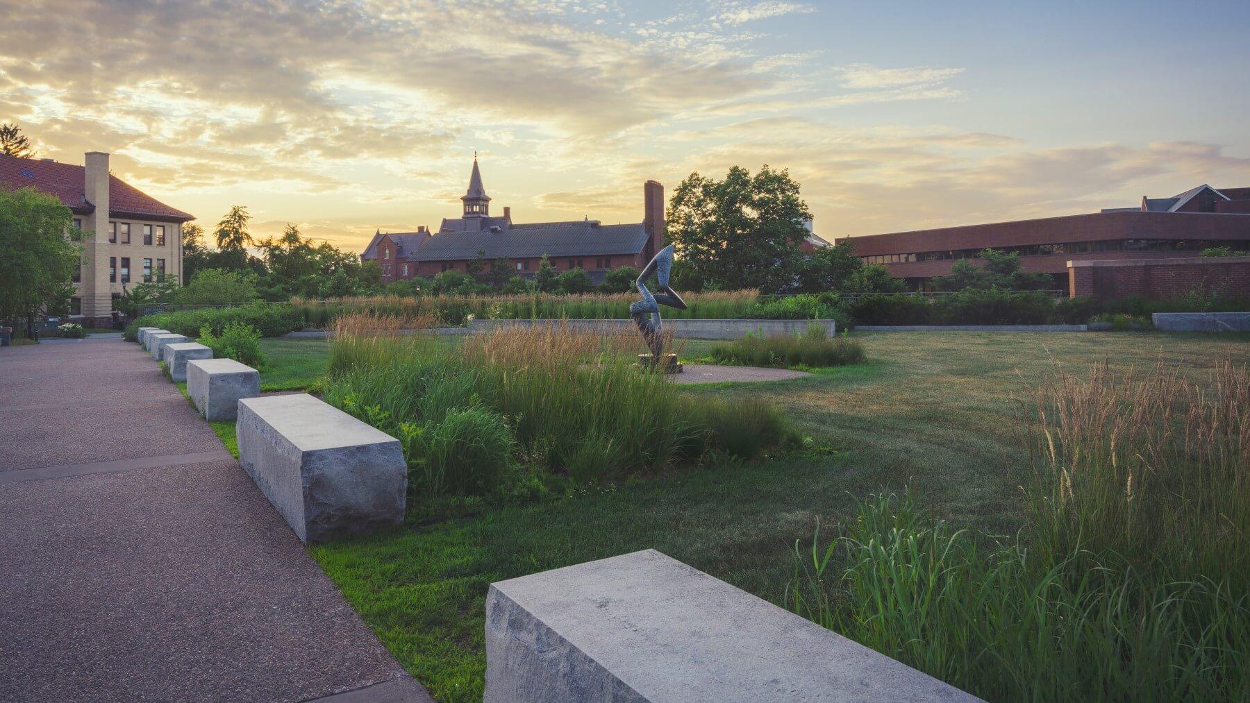 native vegetation atop Davis Center green roof