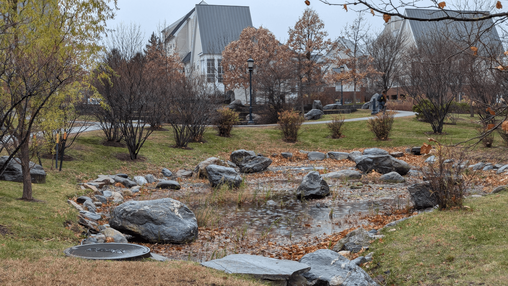 rain water being captured in a rain garden