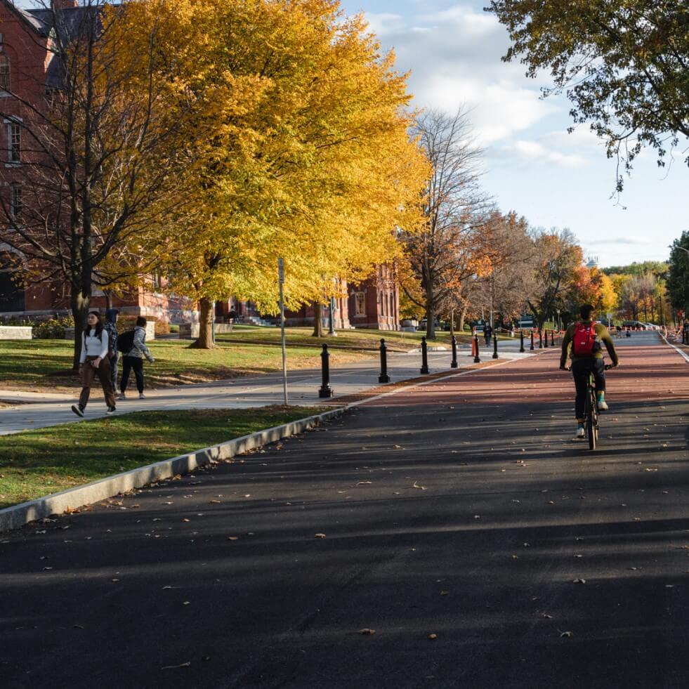 pedestrians and bicyclists along University Place