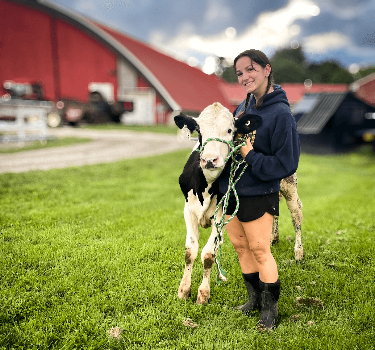 Girl with a cow