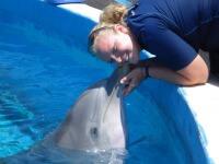Student with Dolphin