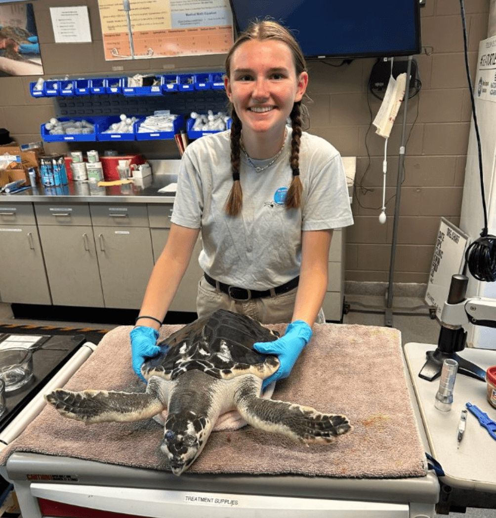 Student holding a rehabilitated turtle in an aquarium lab