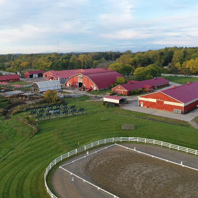 High view of farmland and multiple red barns.