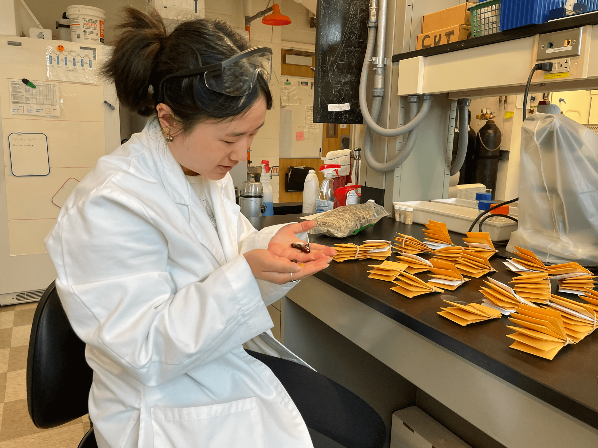 Food science lab student processing data