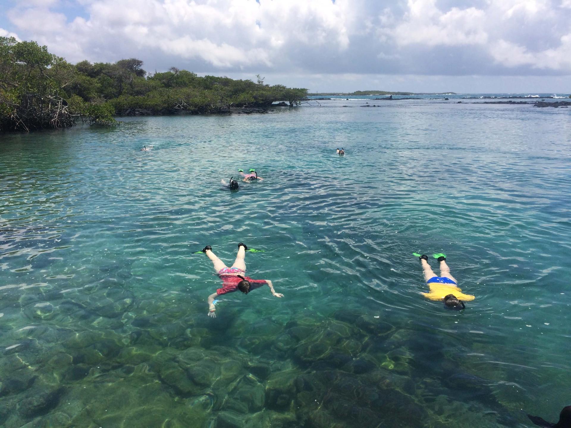 Students snorkeling abroad