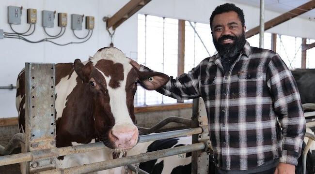 Joao Costa standing in a barn with a cow