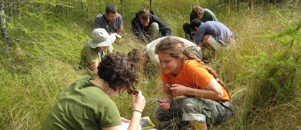 a group of students in a fen pore over field guides