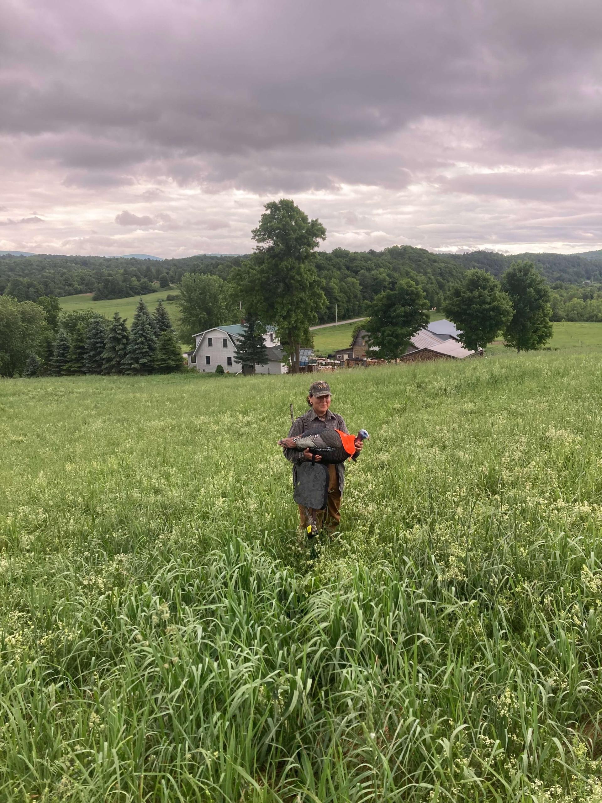 Krizzia in the field