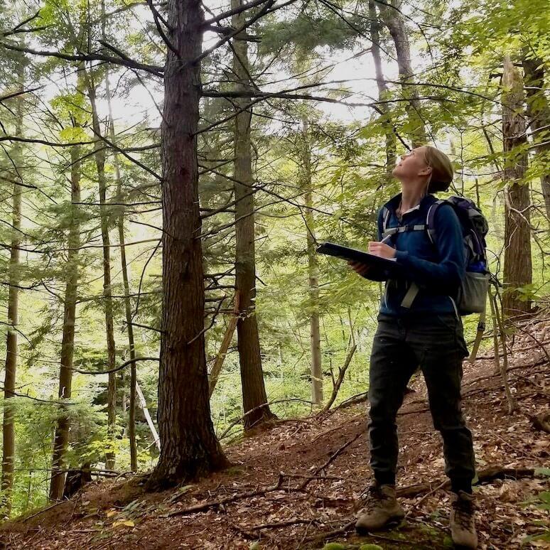 a woman in a forest with a clipboard and backpack looking up at the canopy