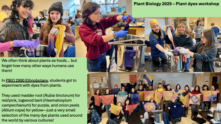 Students show off their plant dye products