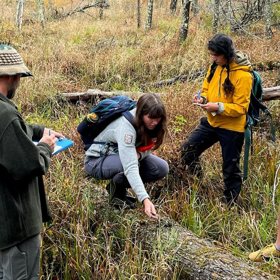 A woman points out wildlife sign on the ground to two students writing notes