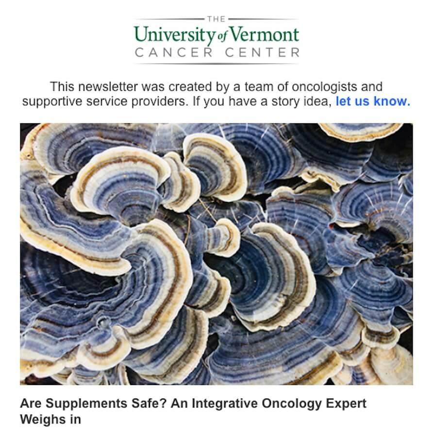 A photo of turkey tail.