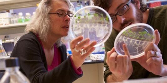 Two individuals in lab coats studying a petri dish, engaged in scientific analysis in a laboratory setting