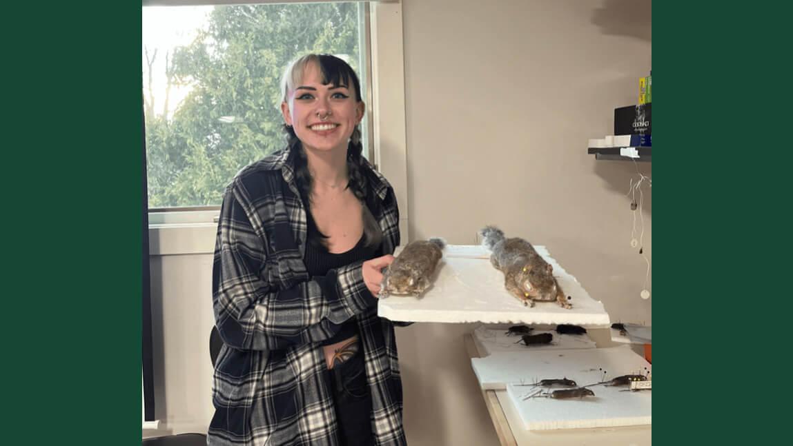 An undergraduate student standing while holding a board with two preserved squirrels held in place with pins.