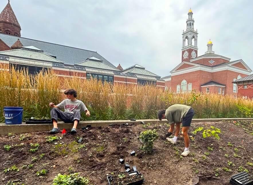Students planting naturalistic garden