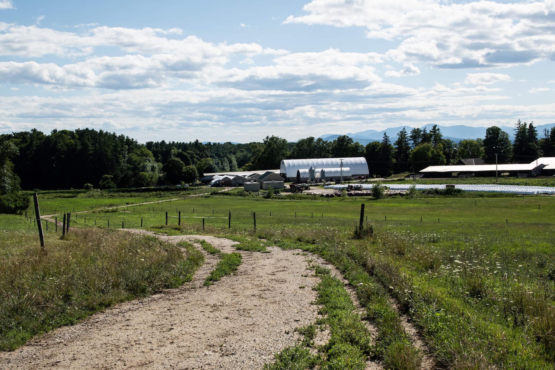 A Vermont Farm 