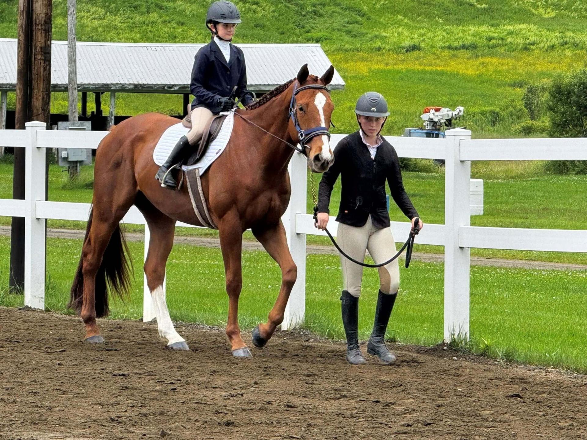 child riding a horse