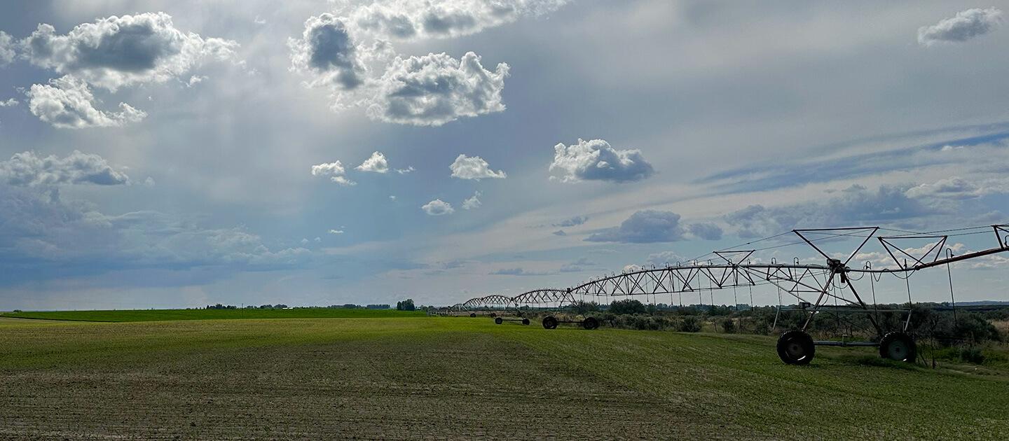 irrigation equipment out in a field