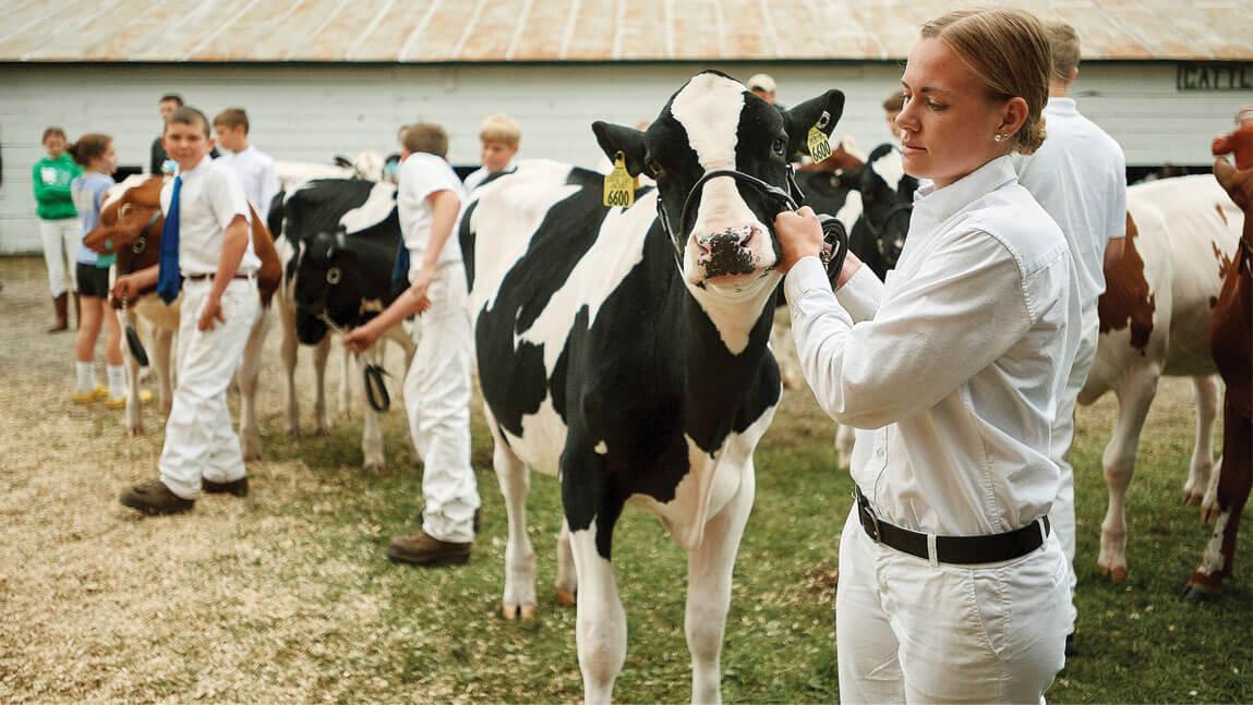 A young woman is standing with a Holstein dairy cow at an agricultural fair.