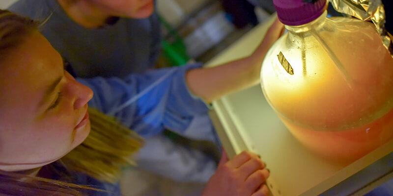 UVM student Jamie Burke in the lab in front of glowing simulated cow rumen